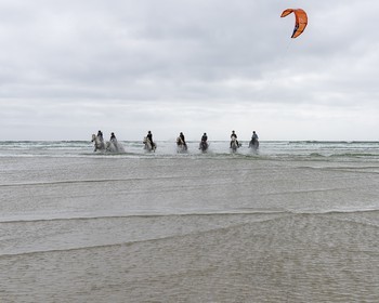 015-chevaux-a-tronoen.jpg