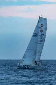001-mem-2024-raz-de-sein.jpg