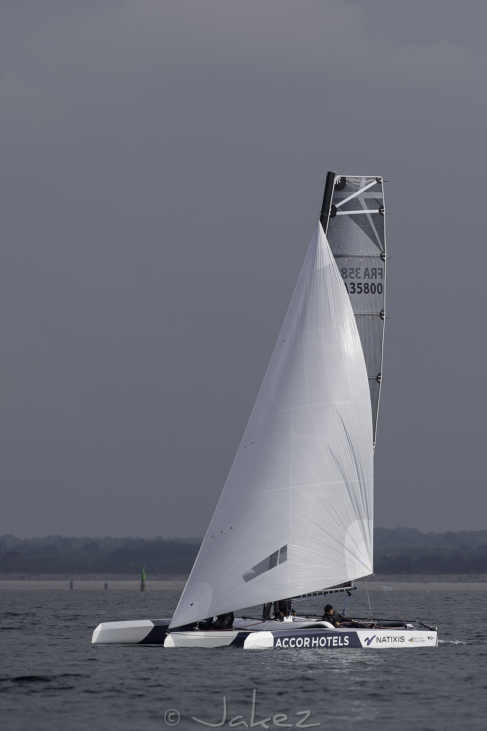 55-multyco-2016.jpg