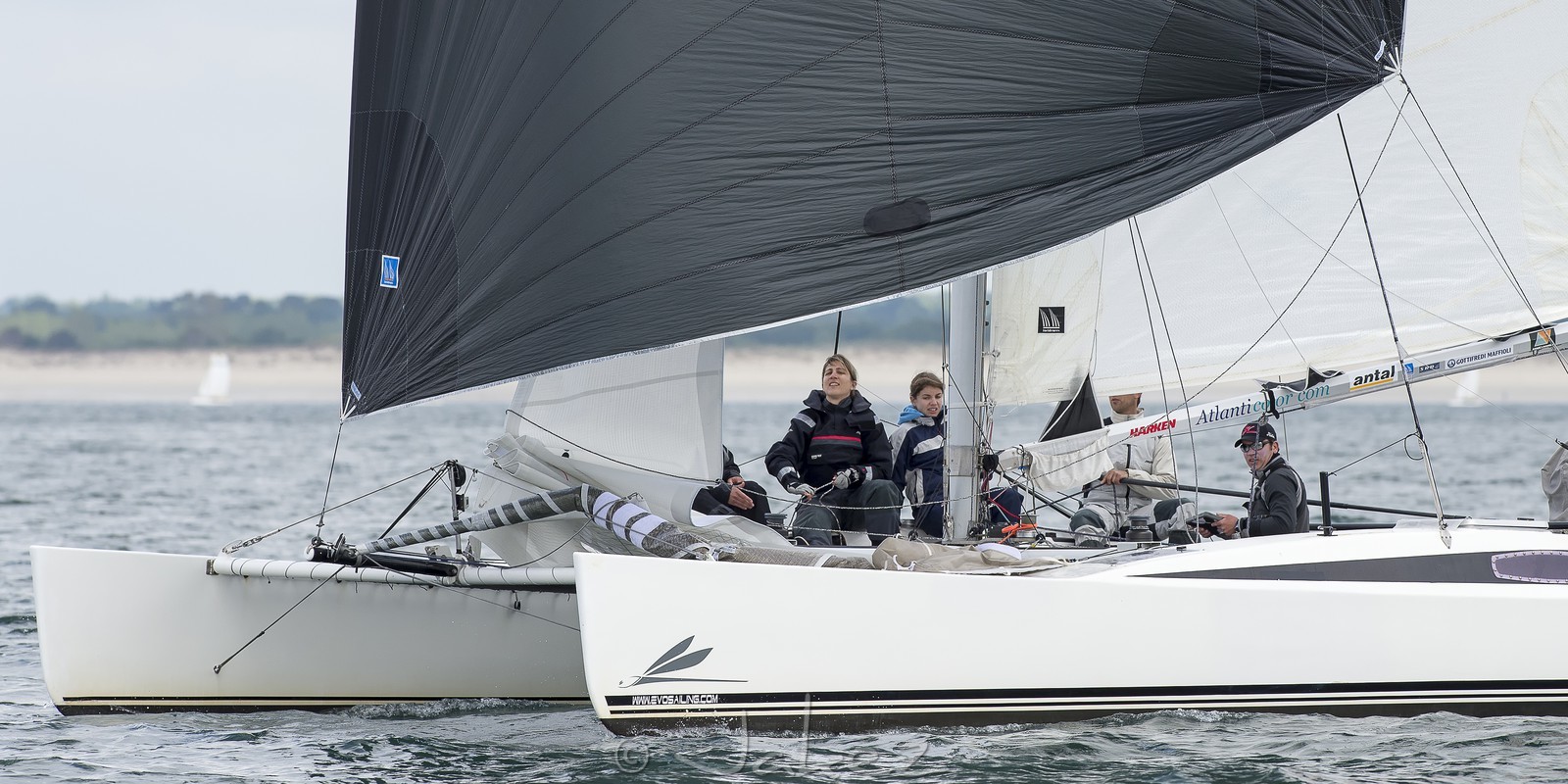 142-multyco-2014.jpg