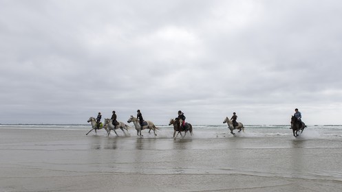 018-chevaux-a-tronoen.jpg