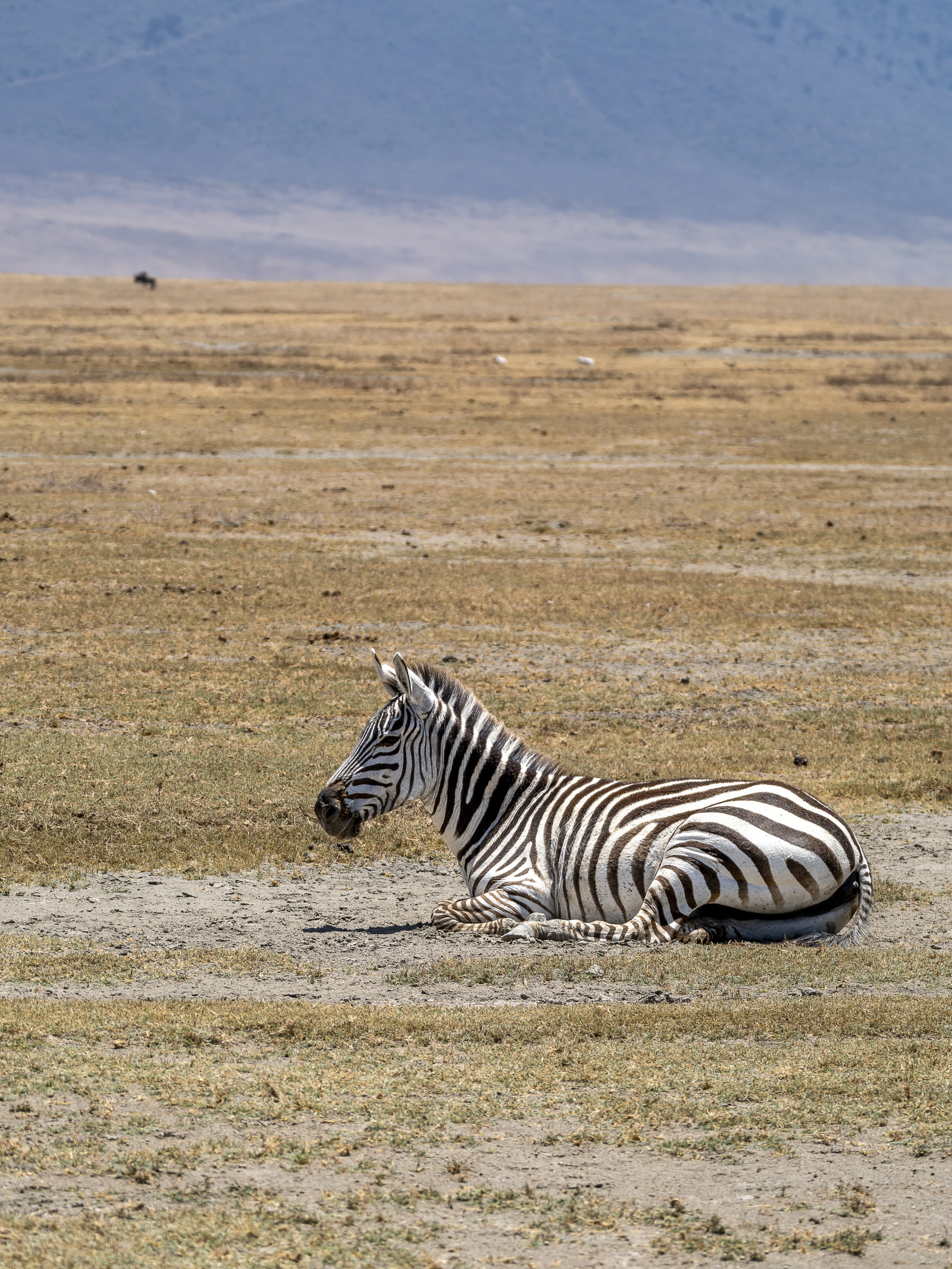 0090-tanzanie-2022.jpg