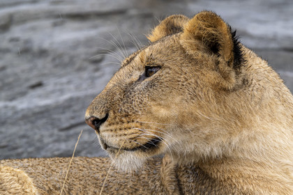 0166-tanzanie-2022.jpg
