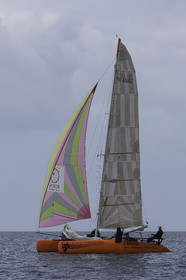 37-multyco-2016.jpg