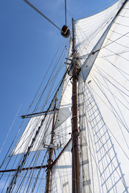 52-etoile.jpg
