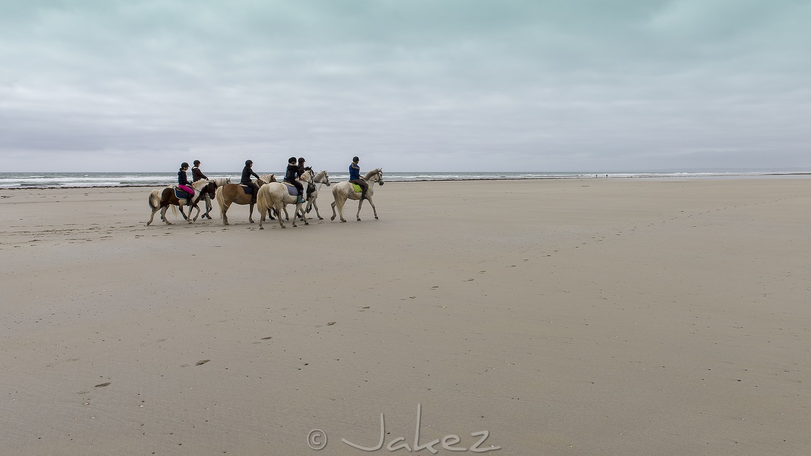 003-chevaux-a-tronoen.jpg