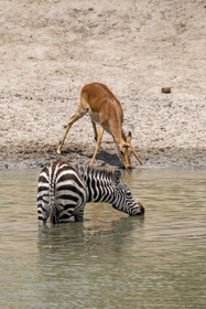 0042-tanzanie-2022.jpg