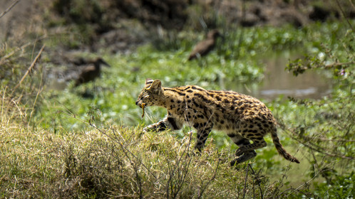 0079-tanzanie-2022.jpg