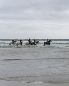 013-chevaux-a-tronoen.jpg