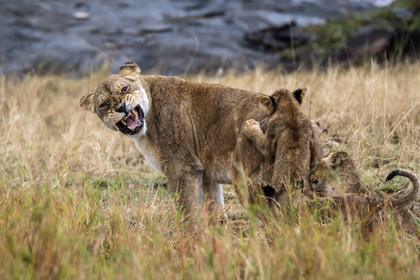 0154-tanzanie-2022.jpg