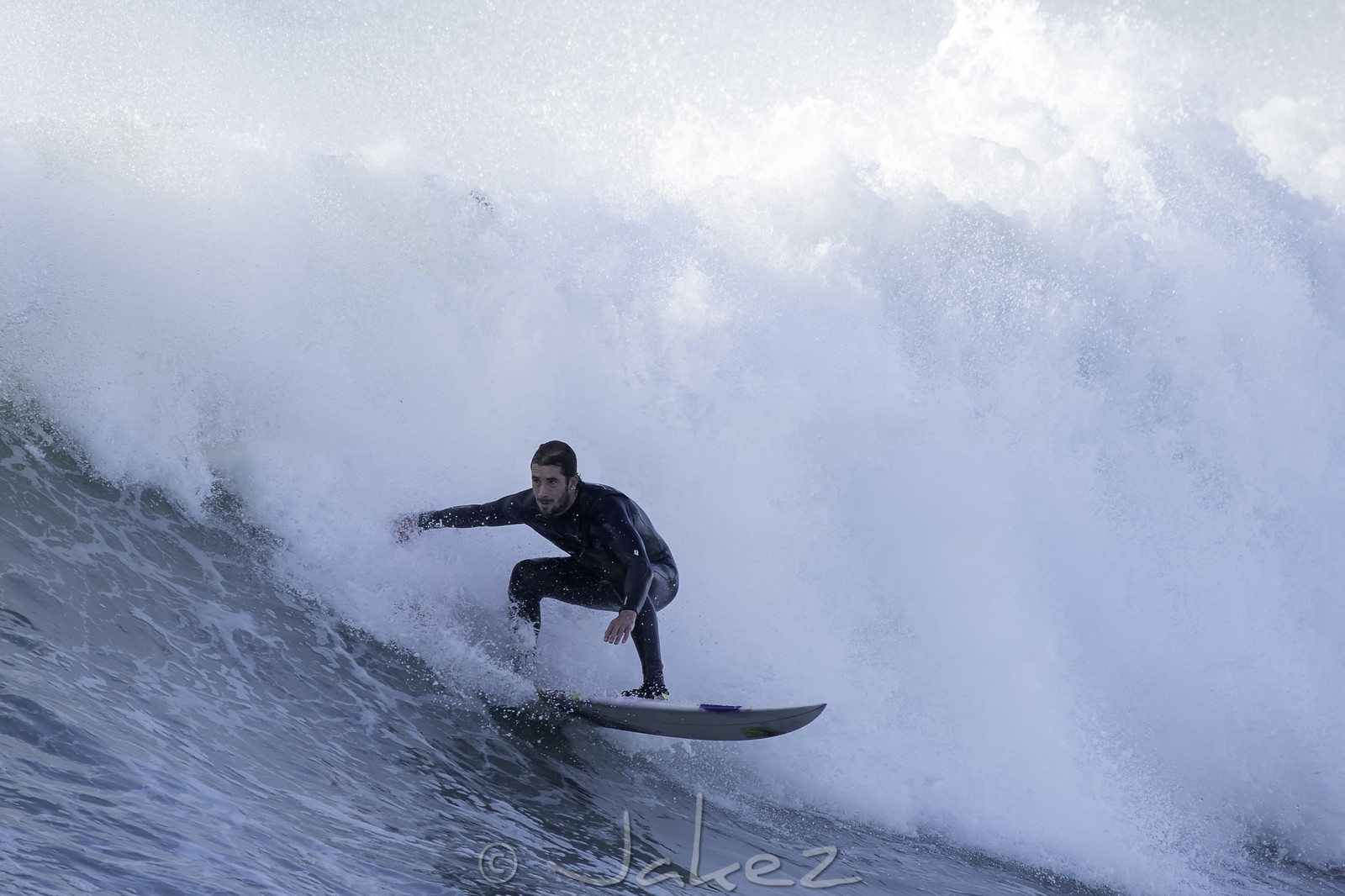 169-la-torche-2015-11-01.jpg