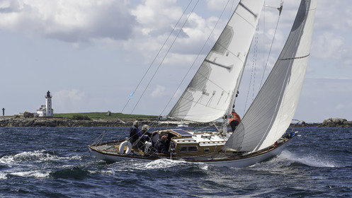 184.jpg