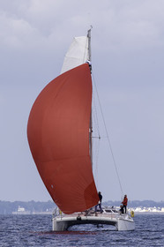 31-multyco-2016.jpg