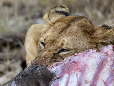 0098-tanzanie-2022.jpg