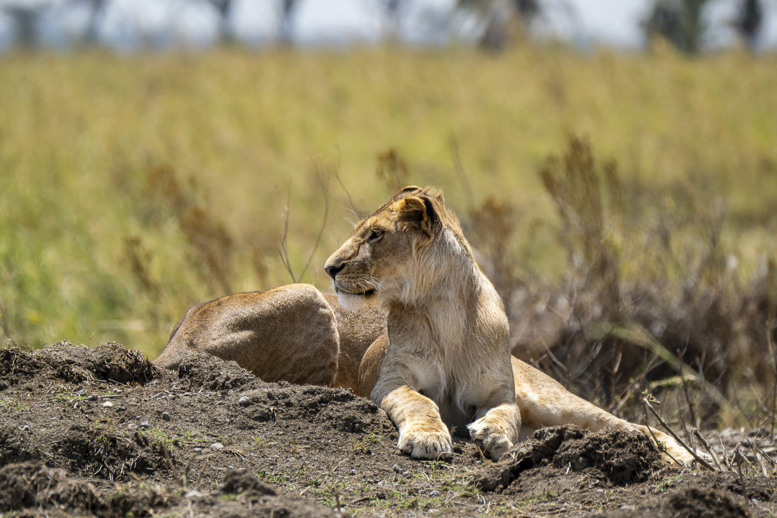 0118-tanzanie-2022.jpg