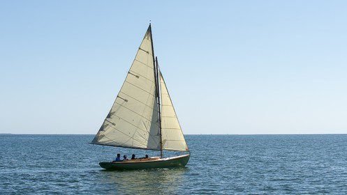 11-Glazigouden