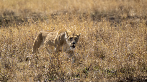 0130-tanzanie-2022.jpg