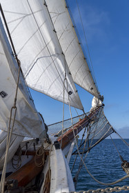 26-etoile.jpg