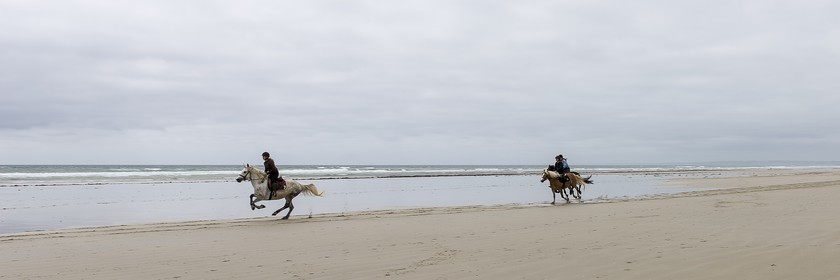 005-chevaux-a-tronoen.jpg