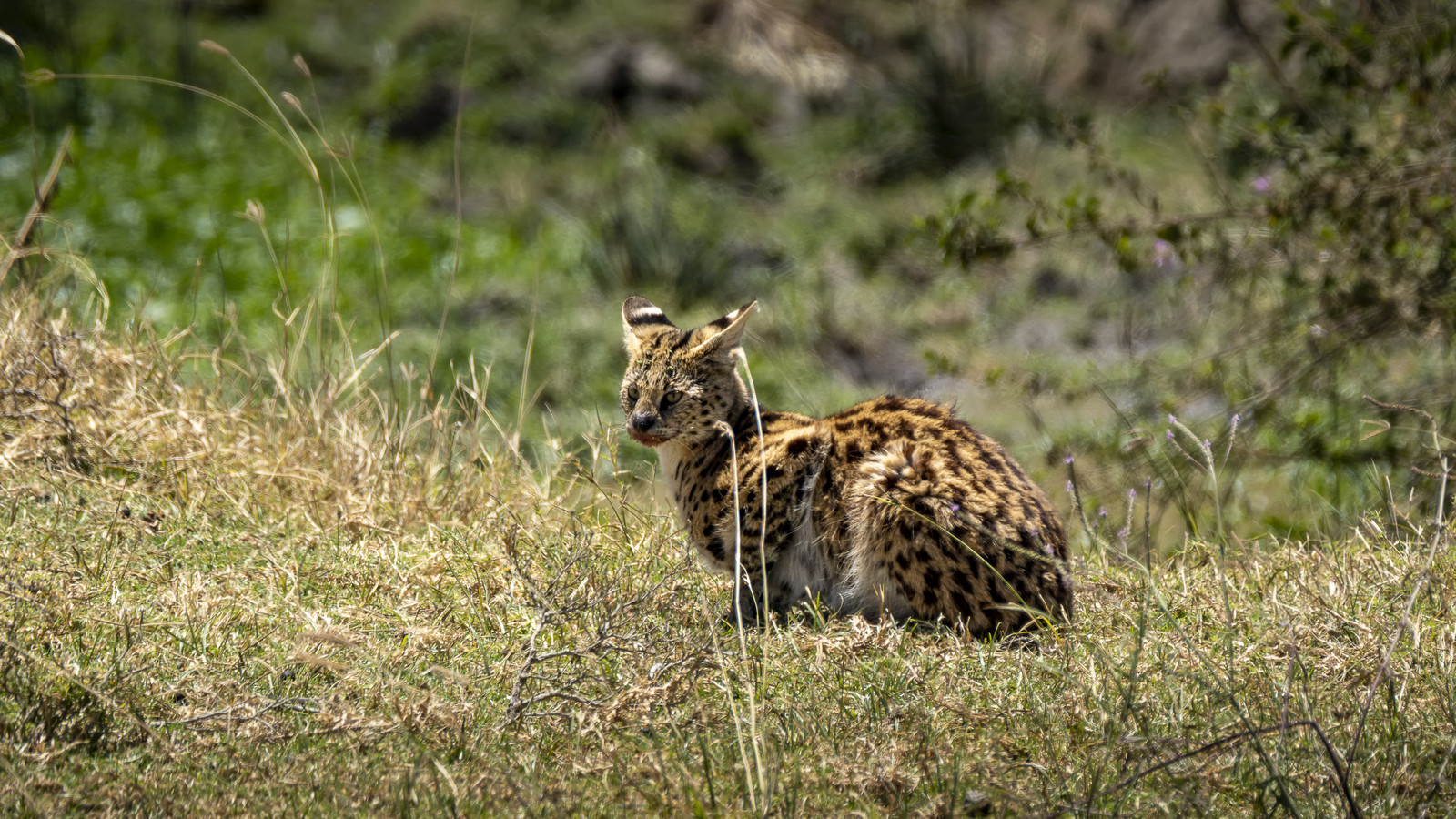 0078-tanzanie-2022.jpg