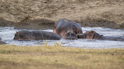 0106-tanzanie-2022.jpg