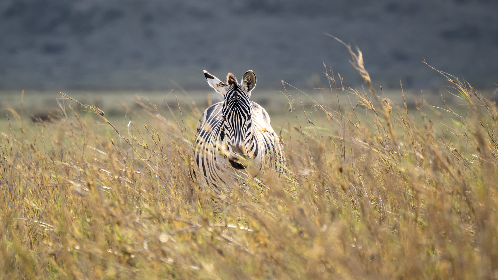 0259-tanzanie-2022.jpg