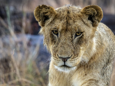 0148-tanzanie-2022.jpg