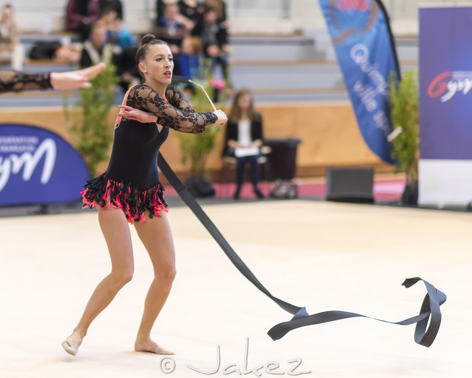 100-GRS Championnat Régional (Mars 2015)