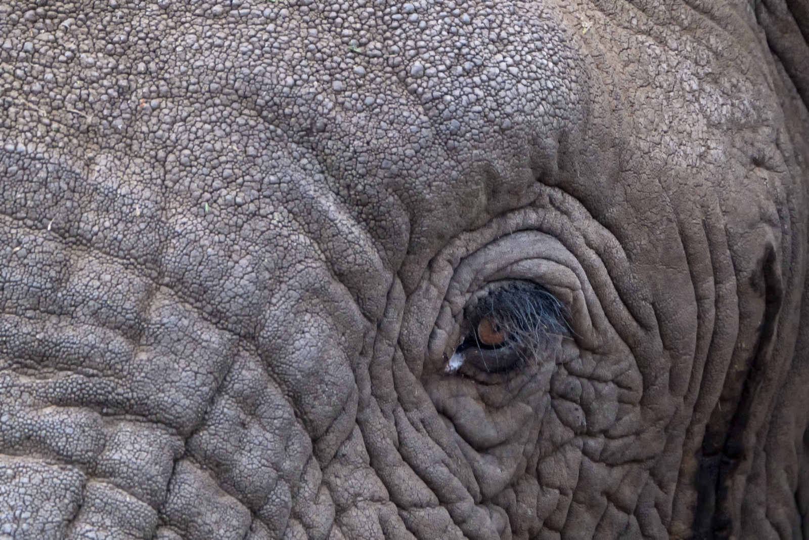 0144-tanzanie-2022.jpg