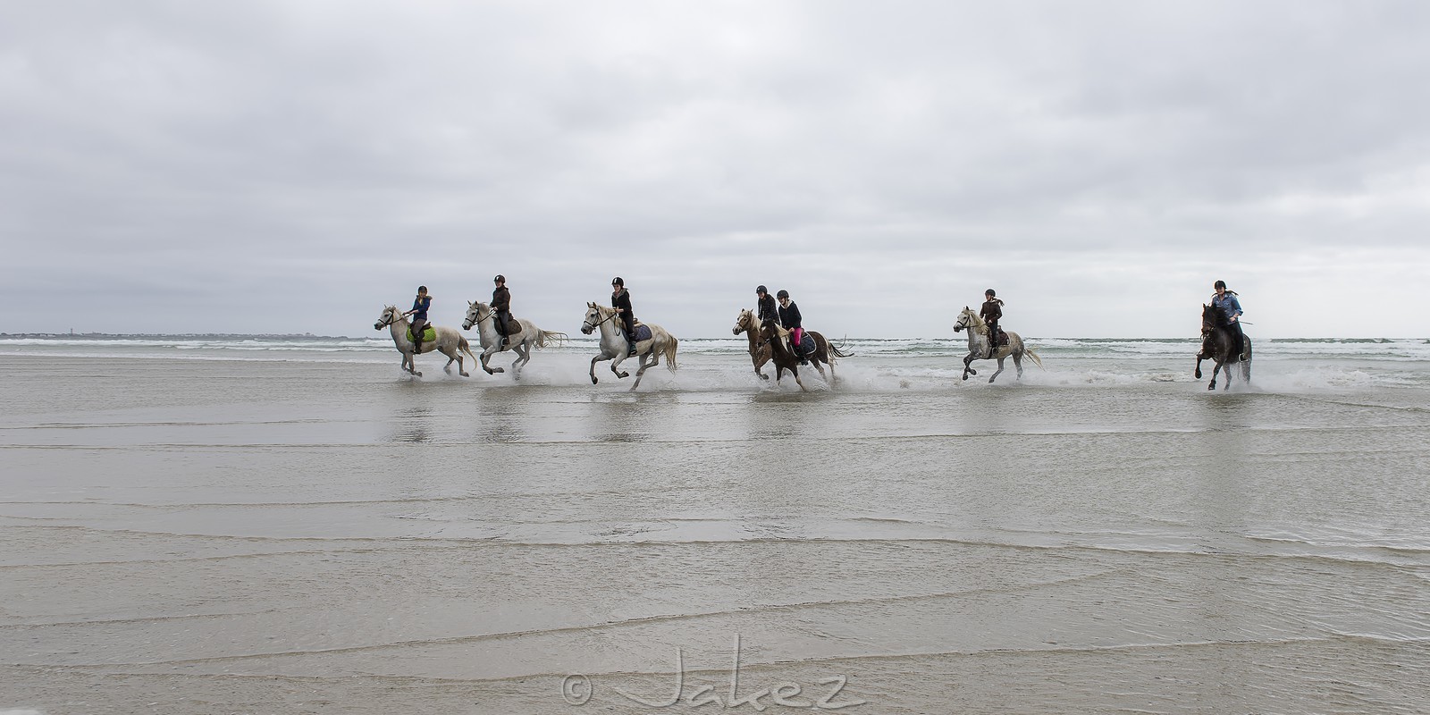 019-chevaux-a-tronoen.jpg