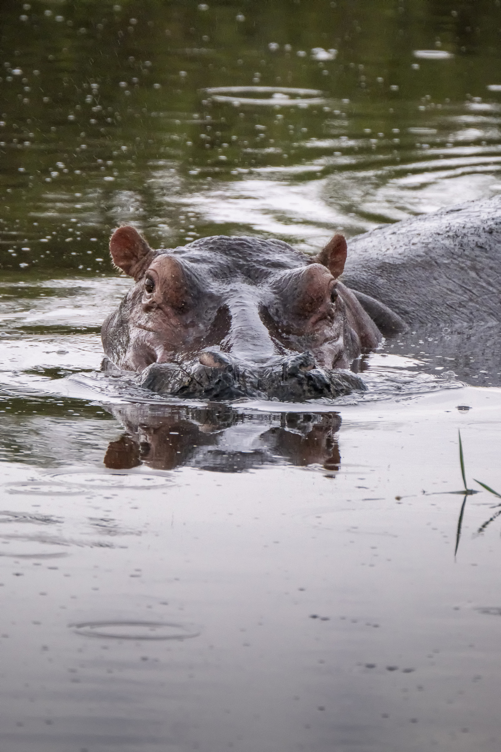 0138-tanzanie-2022.jpg