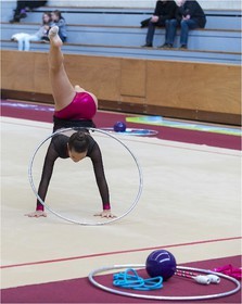 R3-17-02-LE DILY Léna