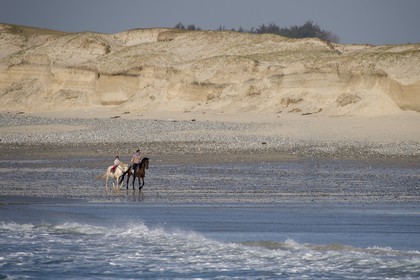 167-Surf