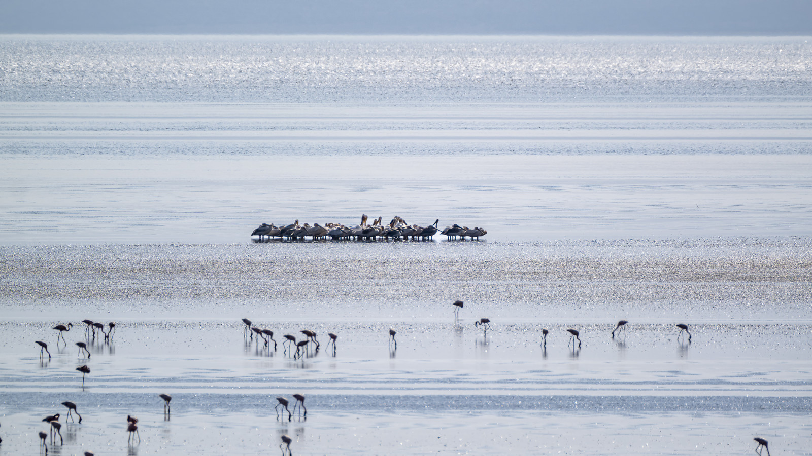 0247-tanzanie-2022.jpg