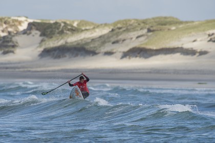 208-Surf