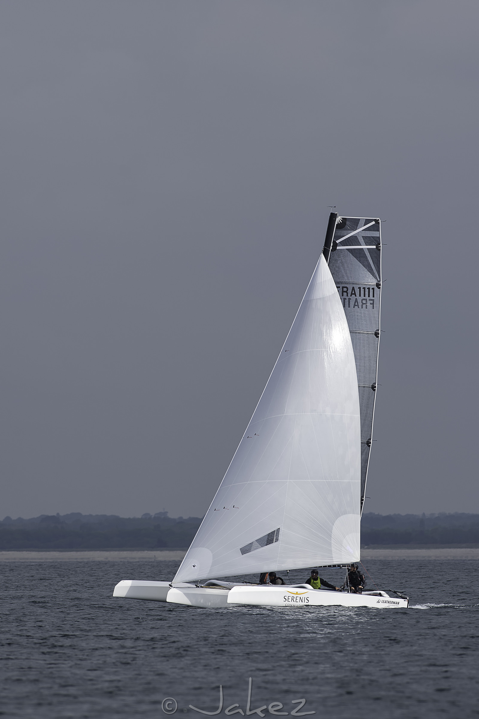 65-multyco-2016.jpg