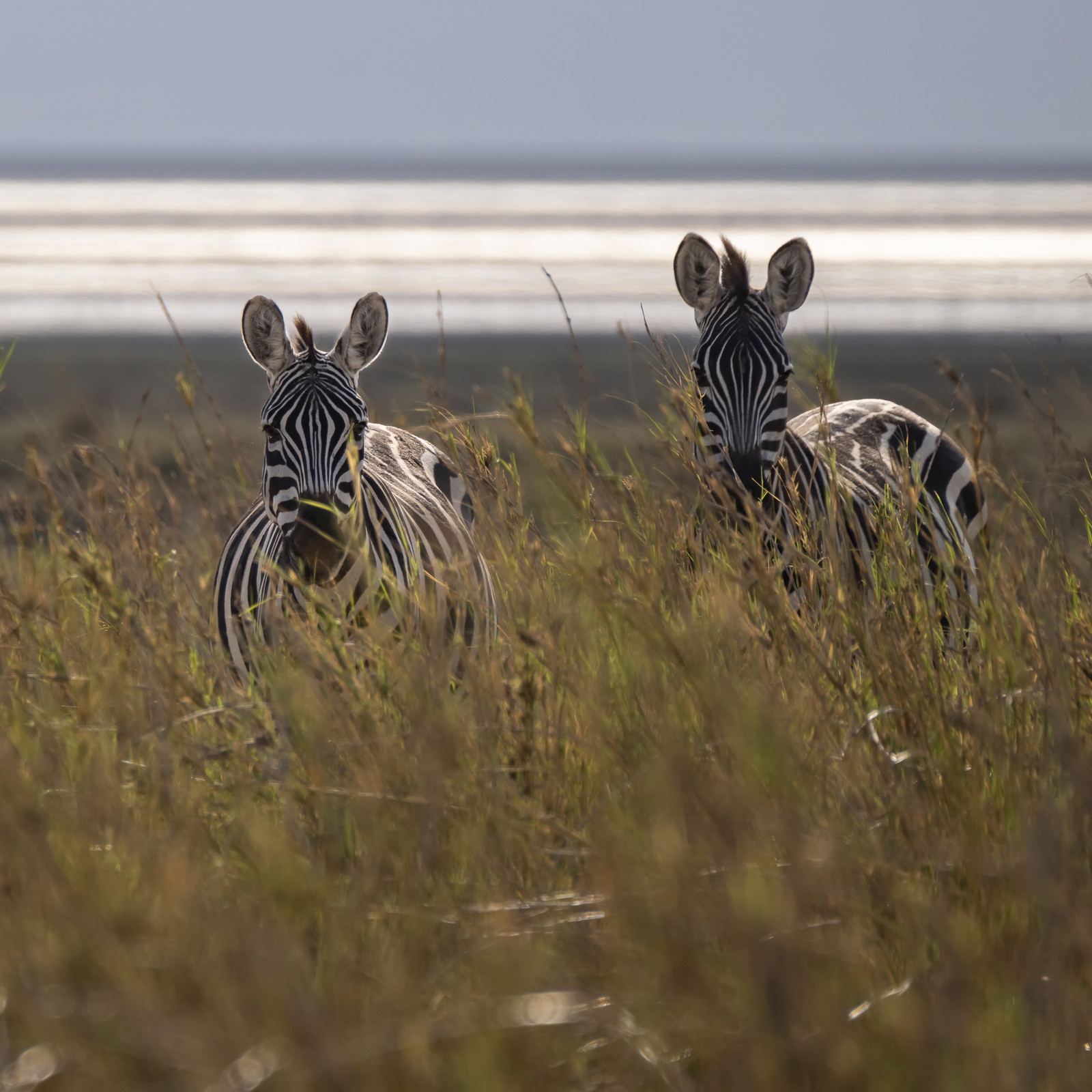 0258-tanzanie-2022.jpg