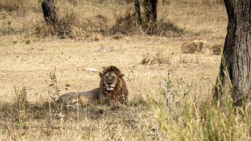 0109-tanzanie-2022.jpg