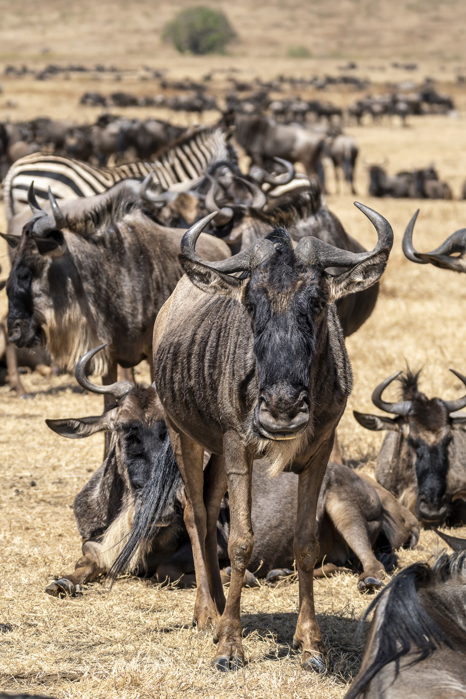 0066-tanzanie-2022.jpg
