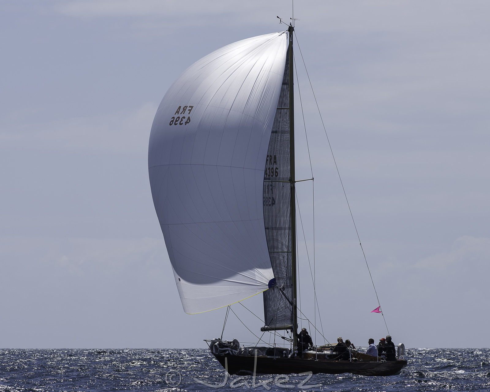 146.jpg