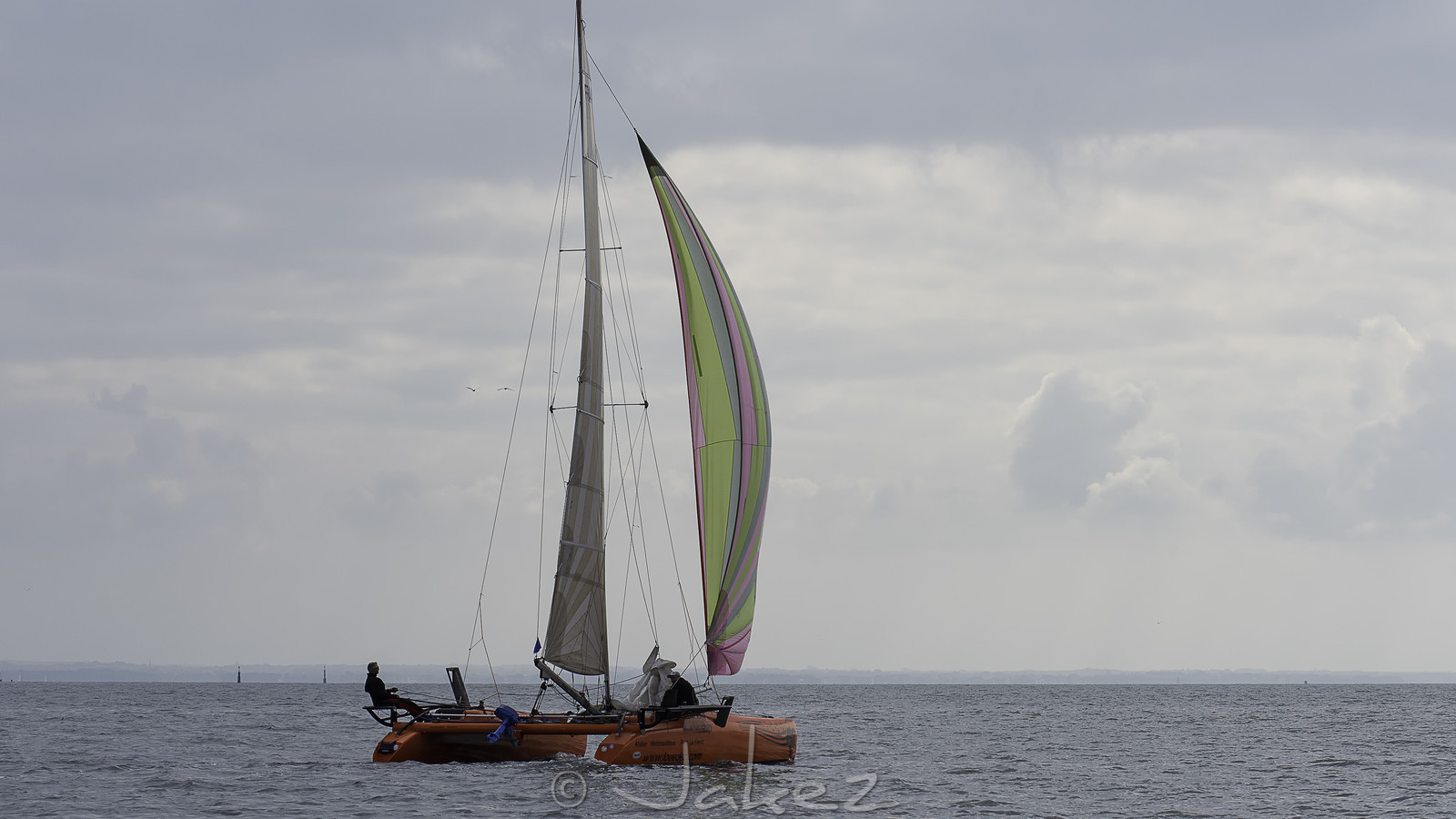 35-multyco-2016.jpg