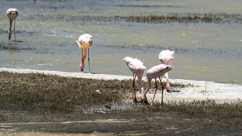 0088-tanzanie-2022.jpg