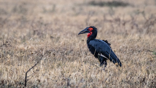 0146-tanzanie-2022.jpg