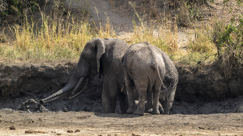 0024-tanzanie-2022.jpg