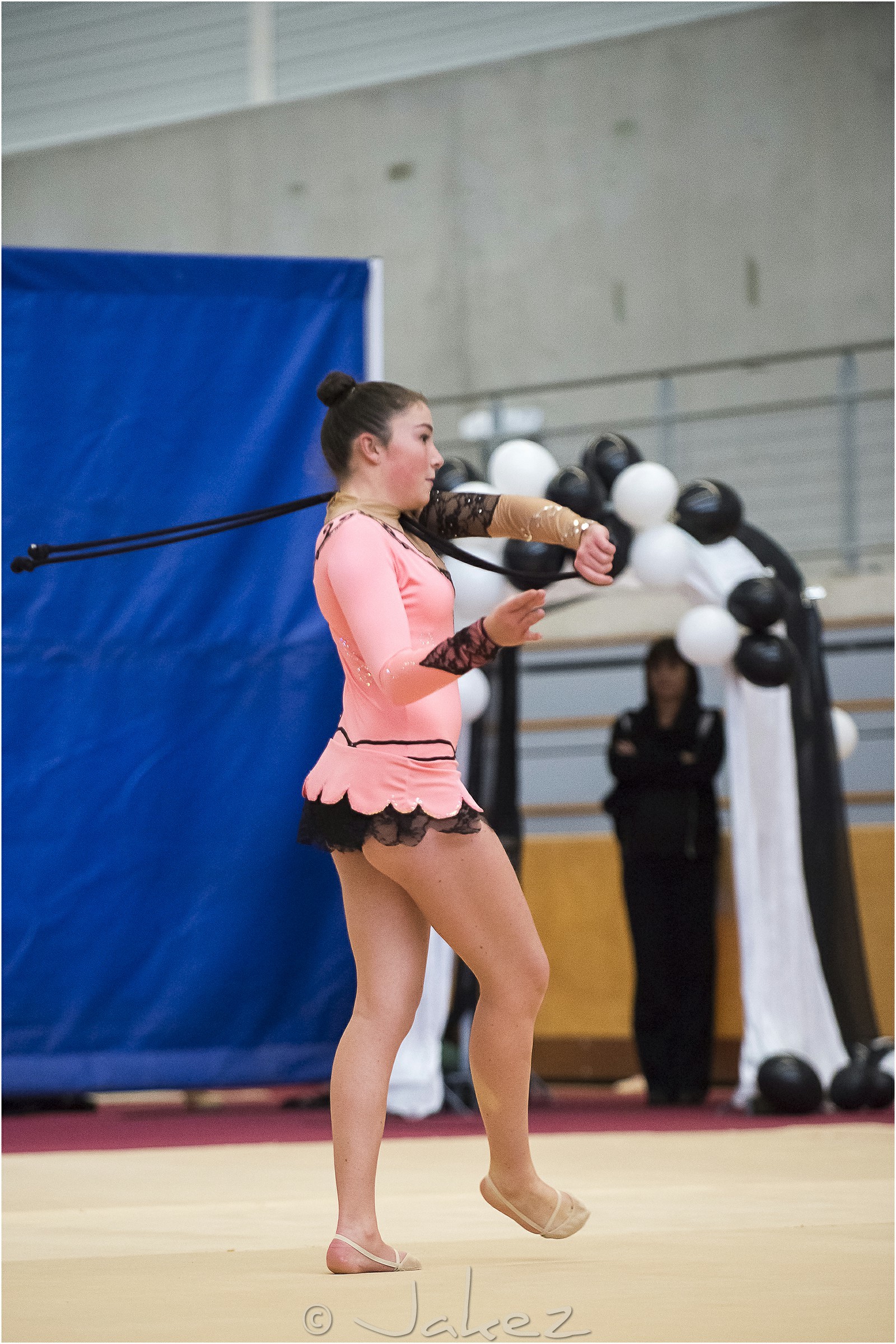 R1-022-10-LE MILLER Romane