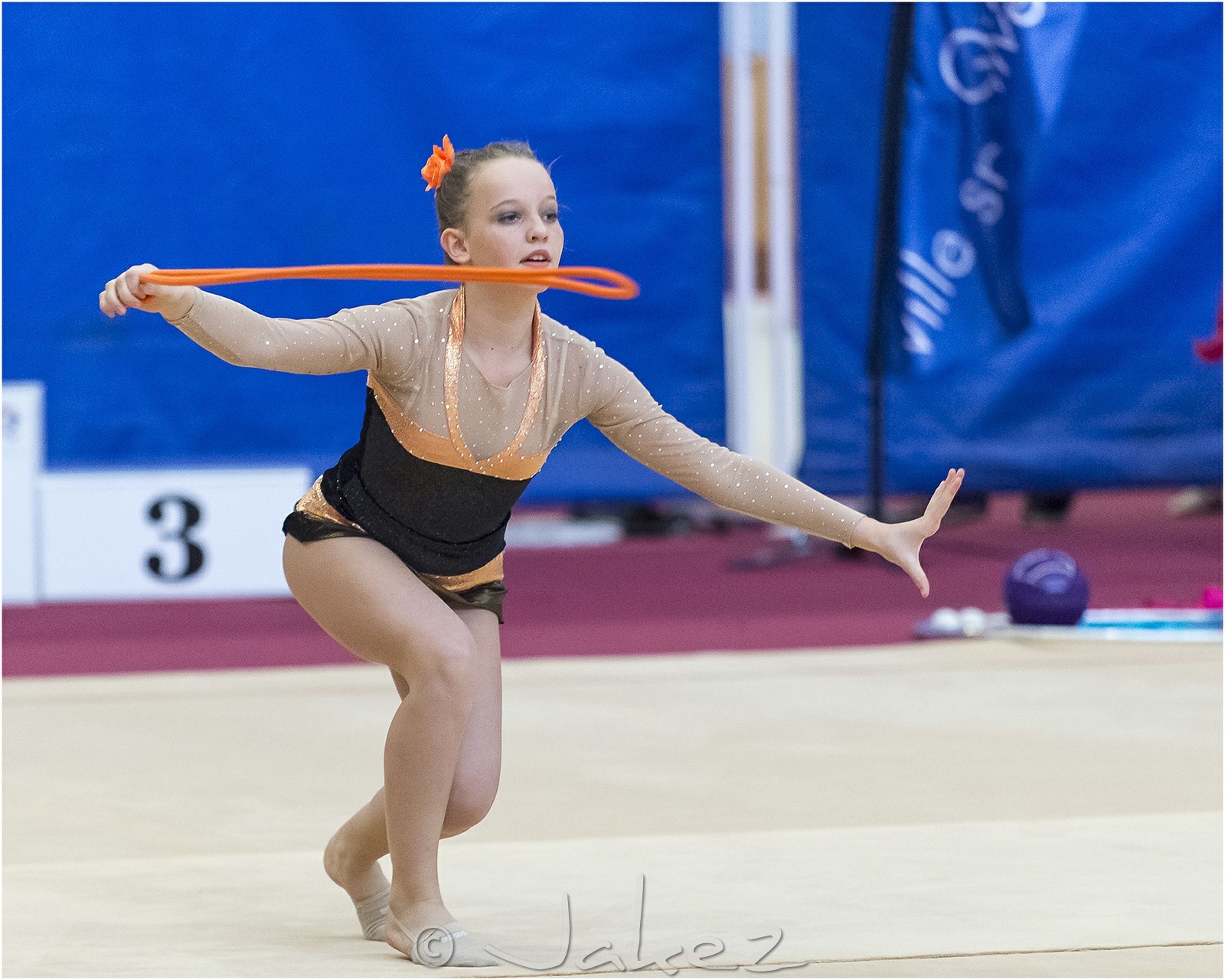 R1-007-09-PANDARD Charlotte