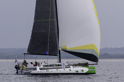 29-multyco-2016.jpg