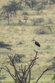 0197-tanzanie-2022.jpg