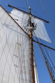 37-etoile.jpg