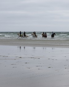 010-chevaux-a-tronoen.jpg